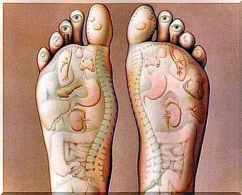 Foot soles with organs drawn on them