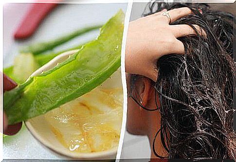 Aloe vera for baldness