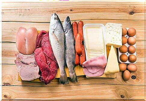 How important are proteins in your daily diet