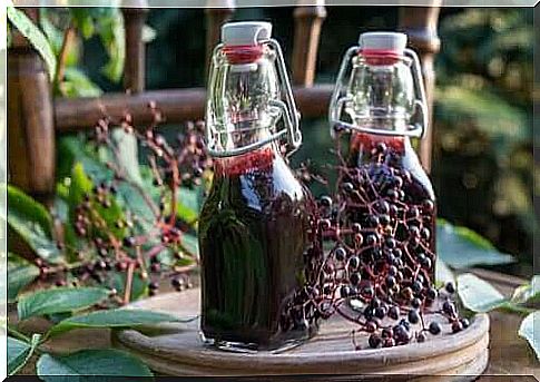 Everything about the preparation of elderberry syrup