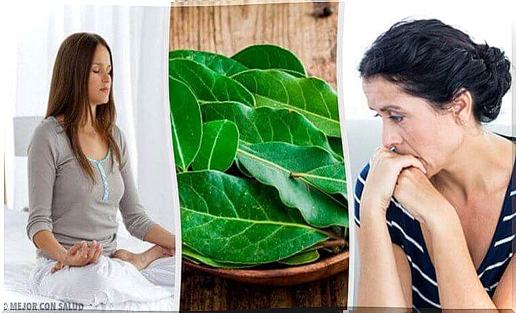 Bay leaves are good for your health