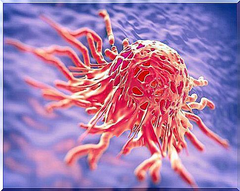 cancer cell