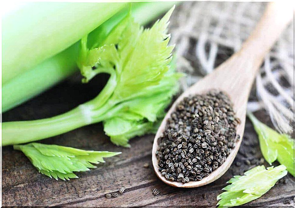 Celery Seeds: A Natural Tea For High Blood Pressure