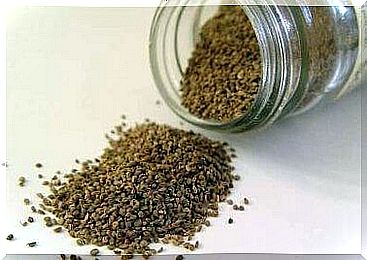 celery seeds