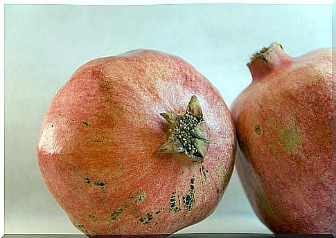 Two pomegranates