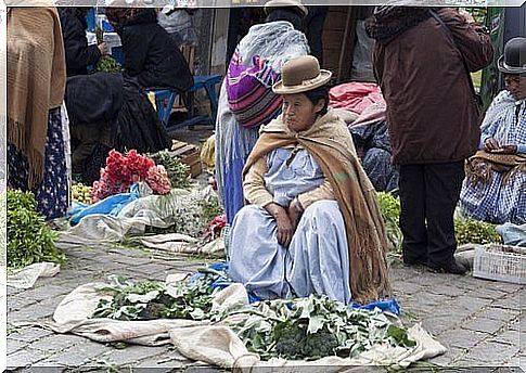 Coca leaves on the market