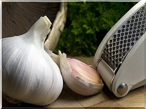 Garlic