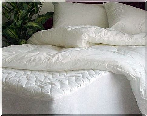 Learn how to easily clean and clean your mattress and pillows