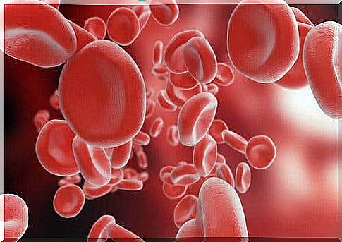 An illustration of red blood cells