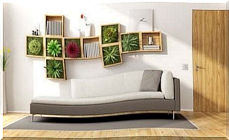 Houseplants on a shelf on the wall