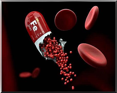 Capsule and red blood cells