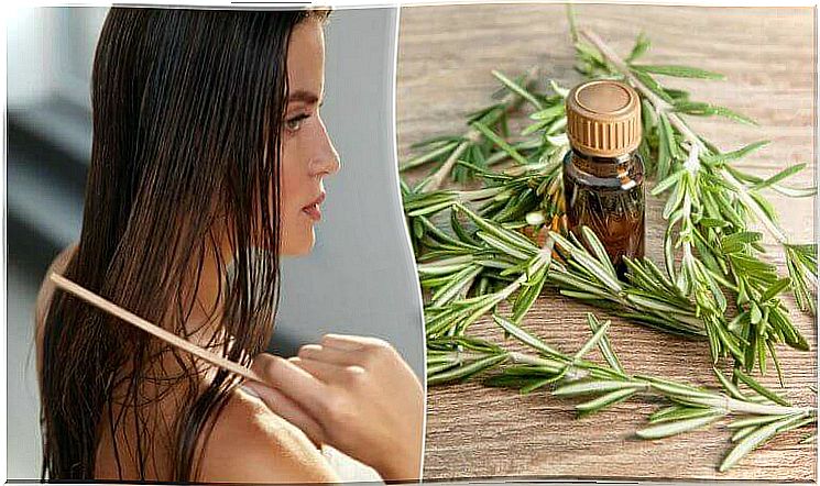 Take advantage of the interesting benefits of rosemary for your hair