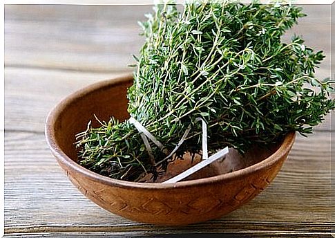 Thyme is one of the remedies against fleas