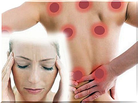 Herbs That Relieve Fibromyalgia Symptoms