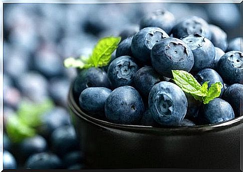 The properties of blueberries