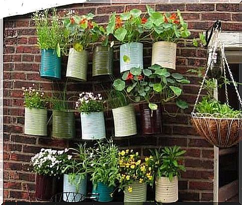 A vertical garden saves space when you have limited space