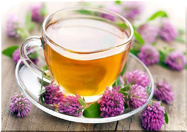 Improve your sleep by drinking valerian tea