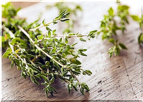 Cough syrup with thyme