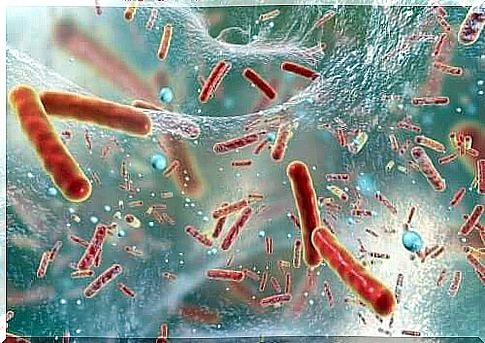 Airborne bacteria