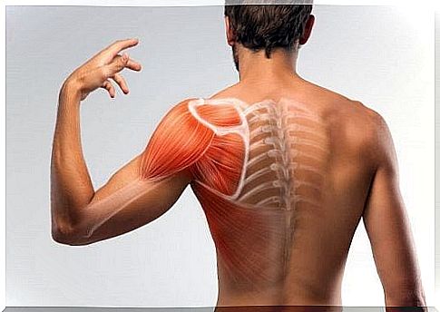 Reduce Muscle Spasms With These Home Remedies