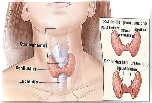 Symptoms and Causes of Hormonal Problems