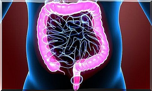 The Amazing Physiology of the Large Intestine