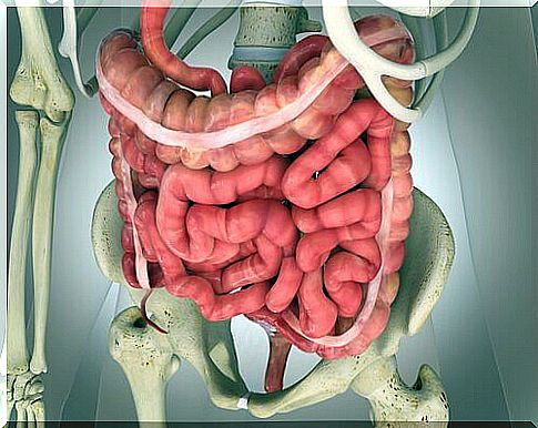 Physiology of the colon: bowel movements