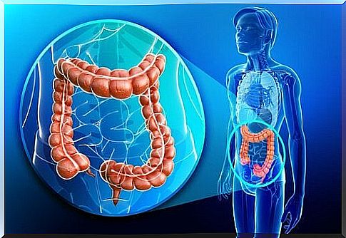 Physiology of the colon: defecation reflex