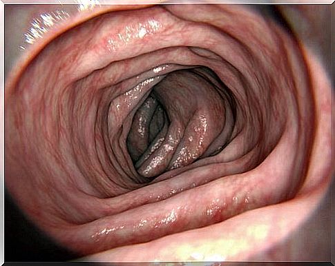 Colon Physiology: Absorption