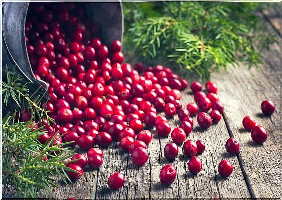 The health benefits of cranberries