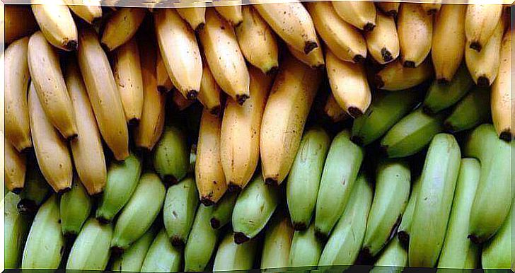 What is the difference between bananas and plantains?