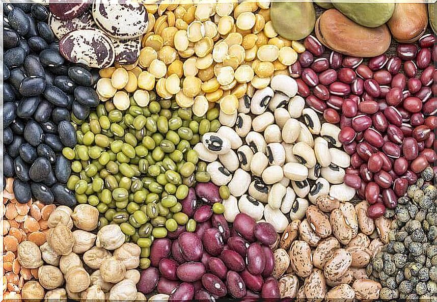 different types of legumes