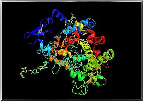 Ibuprofen inhibits the synthesis of prostaglandins