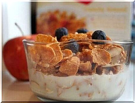 A bowl of cereal and yogurt