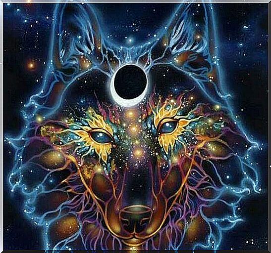 wolf made of stars